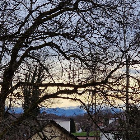 Ferienwohnungen Sisi Pocking  Buitenkant foto